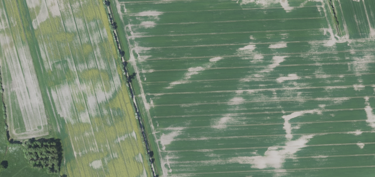 Bildquelle: © GeoBasis-DE/LGLN 2025